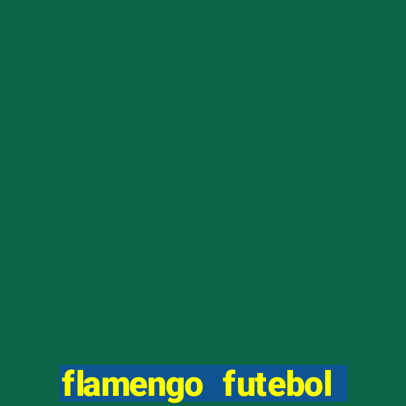 flamengo futebol play hd